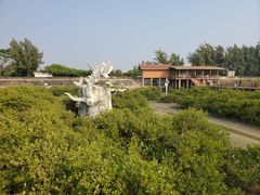 -北海金海湾红树林生态旅游区