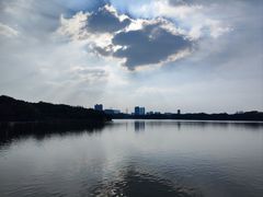 -海珠湖公园