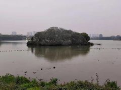 -海珠湖公园