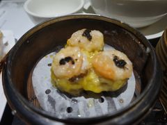 -糖朝(尖沙咀店)