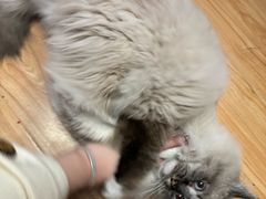 -剧狐剧本杀·月球探案馆(人民广场1号店)