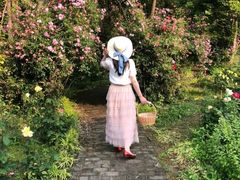 -鹅湖玫瑰文化园
