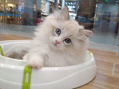 -狗道宠物(常熟印象城店)