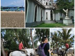 -玫瑰海岸文化旅游度假区