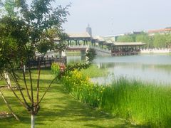 -西海子公园