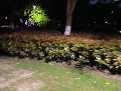 -范蠡湖公园