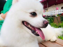 -同道蒸汽海鲜烧烤自助(刘庄夜市店)