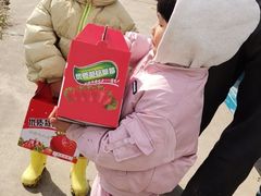 -小鱼草莓采摘园农家乐·小鱼餐厅