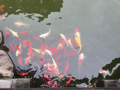 -南北湖湖光山居度假酒店