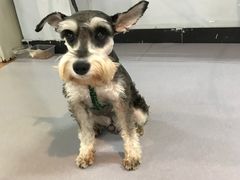 -拳盛时代拳击俱乐部(北京路店)