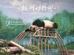 -杭州动物园
