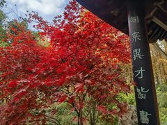 -上海醉白池公园