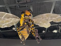 -陕西自然博物馆