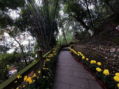 -乐山大佛风景名胜区乌尤寺南门-售票点