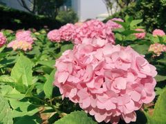 -Wagas沃歌斯(环贸店)