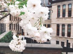 -新欧盟总部大厦