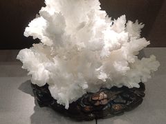 -北京中医药大学-中医药博物馆