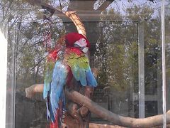 景点-青岛动物园