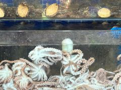 -常家活海鲜小吃(仅一家无分店)