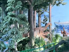 -陕西自然博物馆