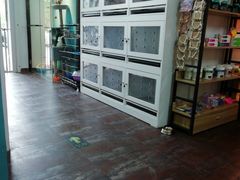 -派多格宠物·购宠(靛厂路店)