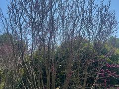 -合肥三国新城遗址公园