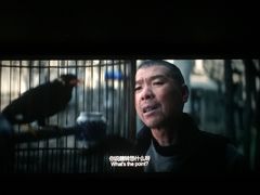 -哈尔滨电影院