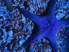 -波塞冬旅游度假区