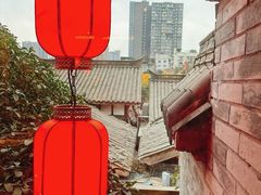 -小龙翻大江文化火锅(宽窄店)