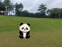 -深圳湾公园(南山区)