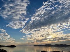 -上海市保健医疗中心