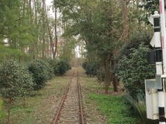 -合肥滨湖国家森林公园