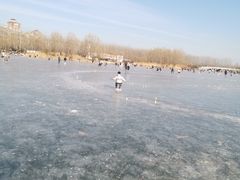-马家湾湿地公园