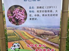 -中国天府农业博览园