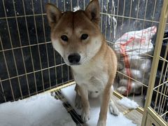 -沐毫傣泐云南菜孔雀宴•手抓饭傣味烧烤(曼听公园店)