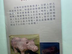 -古陶文明博物馆