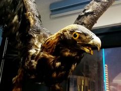 -船家渔(徐州北路店)