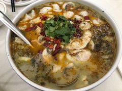-丁老爷子苏香圆