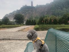 -南沙蒲洲花园