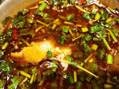 花鲢-肖肖酸萝卜鱼火锅(总店)