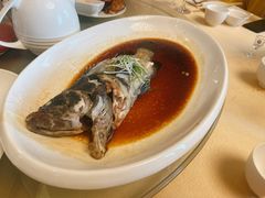 清蒸石斑鱼-赛象酒店·福泉阁中餐厅