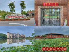 -泗洪洪泽湖湿地景区