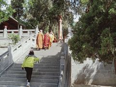 -嵩山少林文化旅游景区