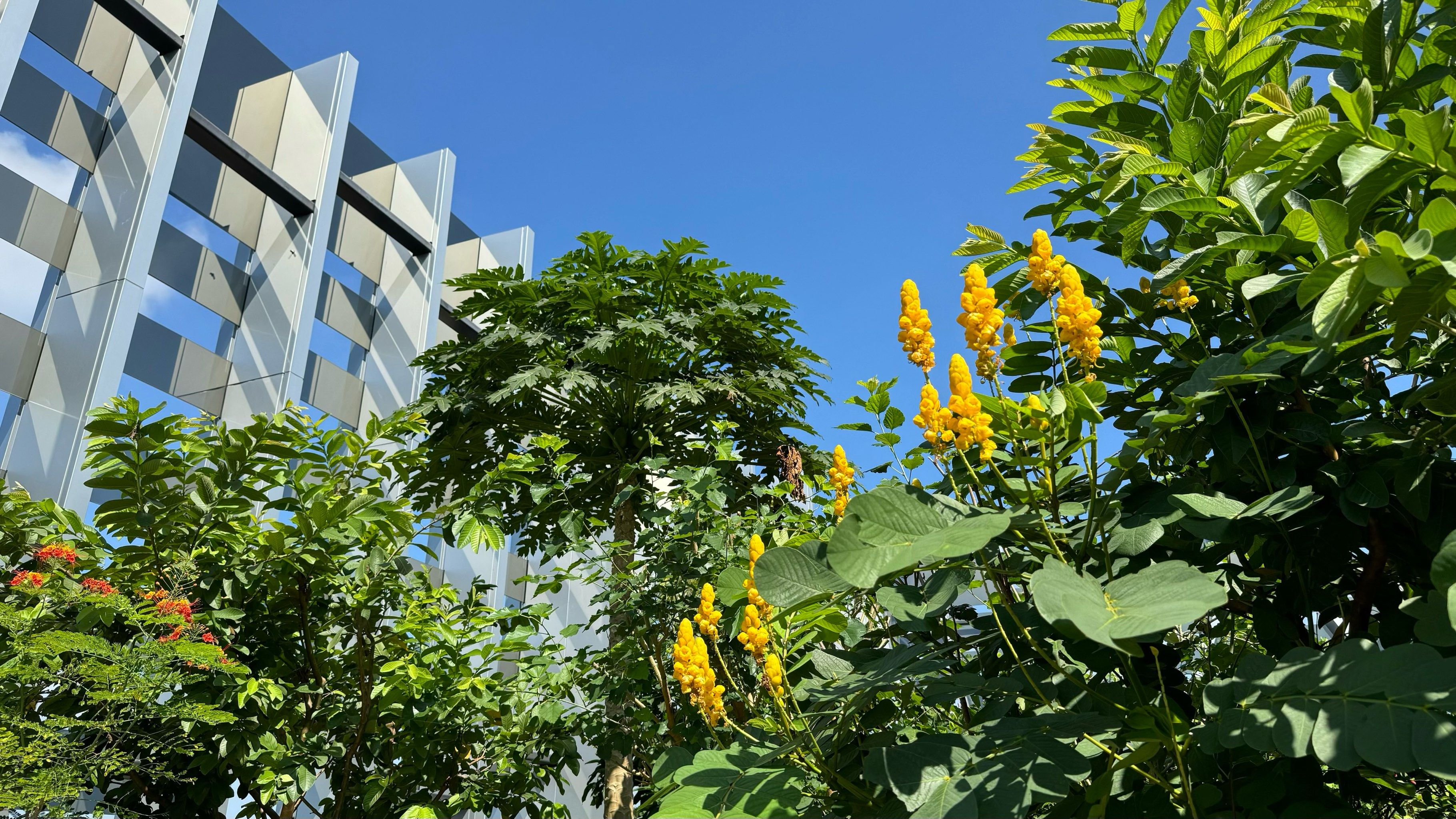 新加坡楼顶花园