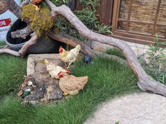 -洞庭土菜馆(天河北总店)