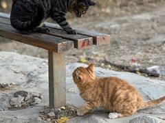 -北京西山国家森林公园