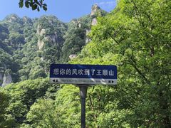 -王顺山国家森林公园