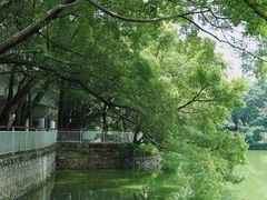 -人民公园(罗湖区)