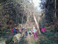 -素山寺森林公园