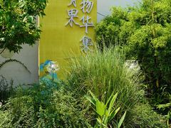 -青果巷历史文化街区